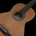 Godin Motif Nylon String Guitar
