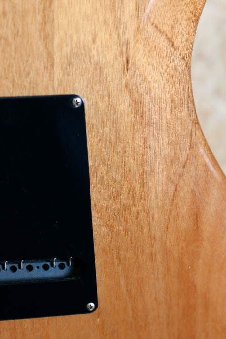 2018 PRS SE Custom 24 Trampas Green Flame Top w/Gigbag - Pre-owned