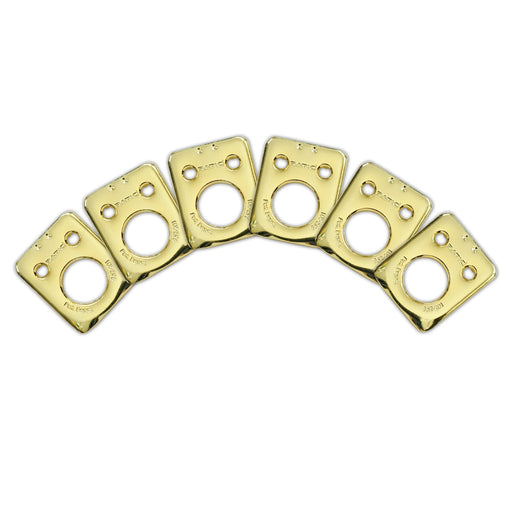 GraphTech Ratio Plate For Fender Style 2 Pin Hole Gold