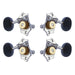 Grover U99 Series Sta-Tite Ukulele Pegs (Set of 4) ~ Chrome ~ Ebony Buttons