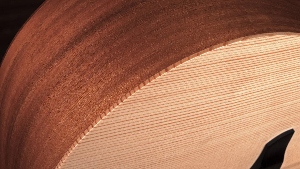 Faith Naked Neptune Acoustic Guitar inc Gigbag