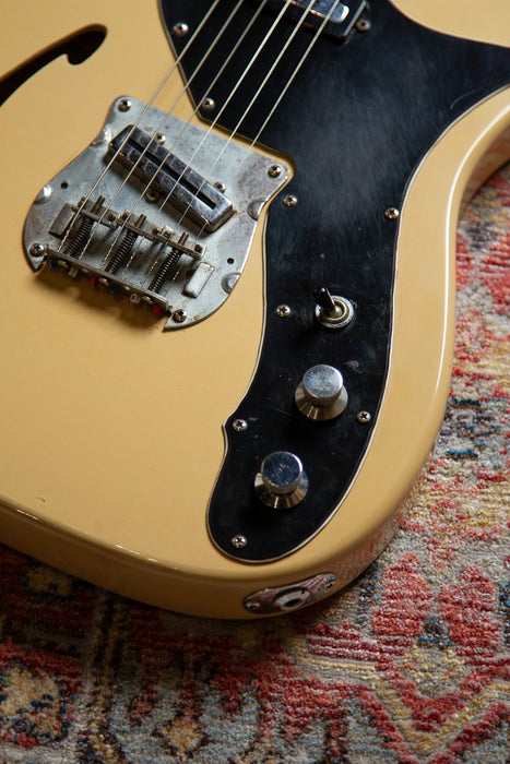 1970's Shaftesbury Thinline Tele in Butterscotch - Japan Made - Guitar Warehouse