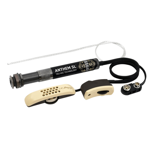 LR Baggs Anthem SL Tru-Mic Element Pickup Mixing System - Two Mics - Guitar Warehouse