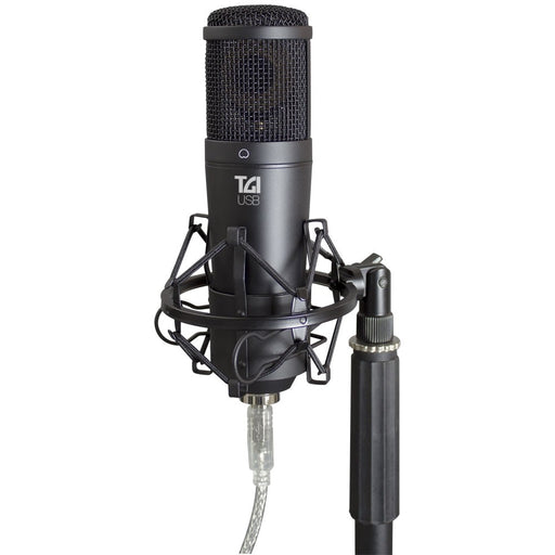 TGI USB RECORDING MICROPHONE - Guitar Warehouse